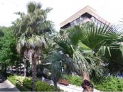 Solar para edificar en la mejor zona de Torrent