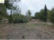 SOLAR URBANIZABLE. CERCA DE COLEGIO SAN JORGE,...