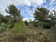 Solar urbanizable en Es Garrovers, sin posibilidad de...