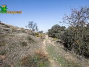 Solar Urbano en LA ZUBIA