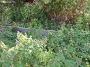 Solar urbano en Venta en Salas de los Infantes, Burgos