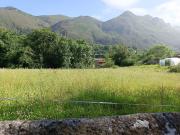 Solar Venta Asturias