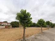 Solar Venta La Rioja