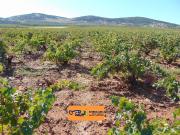 Solar Venta Málaga