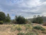 Solar Venta Valencia