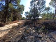 Solar/Parcela en venta en Alberic, Valencia