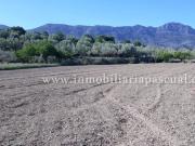 Solar/Parcela en venta en Alcocer de Planes, Alicante