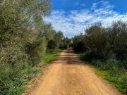 Solar/Parcela en venta en Algaida, Mallorca