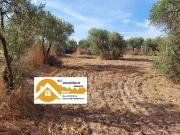 Solar/Parcela en venta en Almonte, Huelva