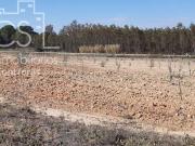 Solar/Parcela en venta en Almonte, Huelva