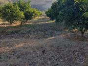 Solar/Parcela en venta en Arcos de la Frontera, Cádiz