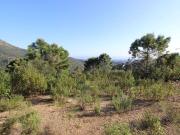 Solar/Parcela en venta en Benahavís, Málaga Costa del Sol