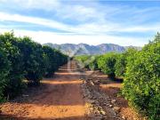 Solar/Parcela en venta en Benidoleig, Alicante Costa Blanca