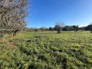 Solar/Parcela en venta en Campanet, Mallorca
