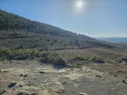 Solar/Parcela en venta en Dílar, Granada