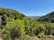 Solar/Parcela en venta en Javea / Xàbia, Alicante Costa...