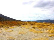 Solar/Parcela en venta en Jete, Granada Costa Tropical