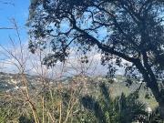 Solar/Parcela en venta en Lloret de Mar, Girona Costa Brava