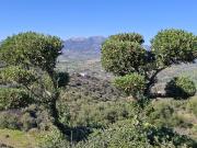 Solar/Parcela en venta en Málaga, Málaga Costa del Sol