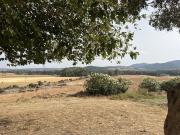 Solar/Parcela en venta en Marchenilla, Cádiz