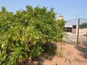 Solar/Parcela en venta en Marratxí, Mallorca