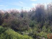 Solar/Parcela en venta en Motril, Granada Costa Tropical