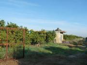 Solar/Parcela en venta en Oliva, Valencia Costa Valencia