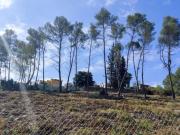 Solar/Parcela en venta en Olivella, Barcelona