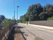Solar/Parcela en venta en Sa Pobla, Mallorca