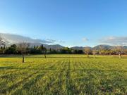 Solar/Parcela en venta en Selva, Mallorca