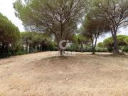 Solar/Parcela en venta en Sotogrande, Cádiz Costa de la Luz