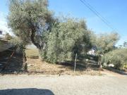 Solar/Parcela en venta en Vinaròs, Castellón Costa Azahar