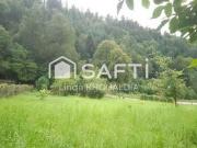 Solbach Alsace 67130 89925917