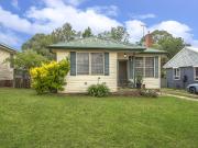 Solid Bones, Big Shed & Real Potential