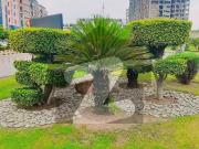 Solid Land Plot Available For Sale In B 17 F Block