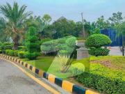 Solid Plot Near To MDR Available For Sale In D Block
