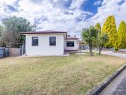 Solid With Fresh Opportunity