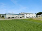 Solide Bestandesrendite oder grosses...