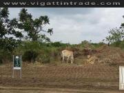 Soliento lot Ayala Land Premier in Nuvali