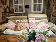 SOLLIÈS PONT: Villa de Plain Pied, Piscine & T3 Indépendant