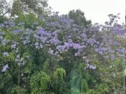 ¡Solo necesitas una bella vista. 160m2 departamento en...