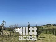 SOLO PER IMPRENDITORI AGRICOLI