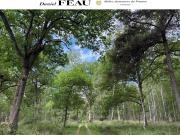 Sologne Exceptionnelle propriété de plus de 200 hectares...