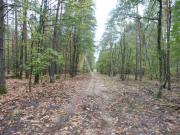 SOLOGNE Propriété de chasse à vendre