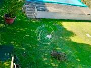 Soluzione Semindipendente in affitto a Pietrasanta, case...