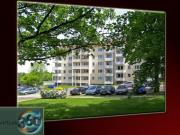 Sonnenbalkon. Neues Laminat. Bad mit Fenster.