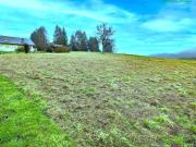 SONNENLAGE in Weinitzen Grundstück 1196 m² mit...