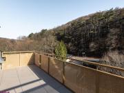 Sonnig, modern, gemütlich mitten im Waldgebiet PUR...