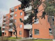 Sonnige 3.5 Zimmerwohnung mit Balkon