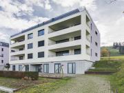 Sonnige Aussichten für Familien